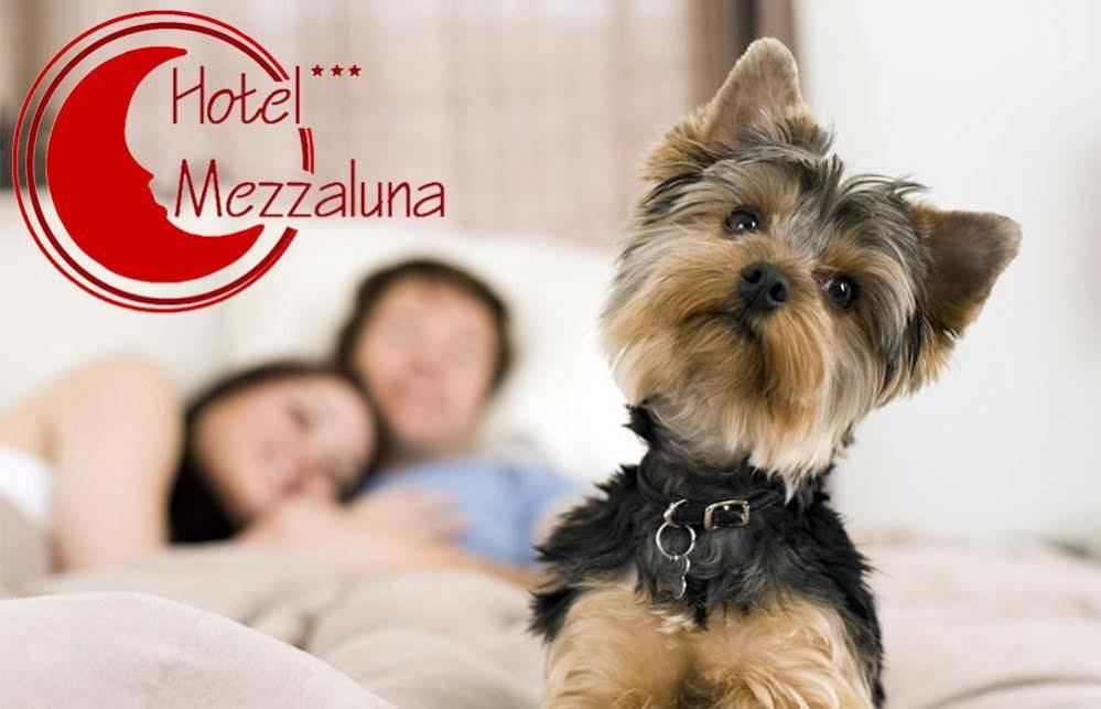 Hotel Mezzaluna Treviso Ngoại thất bức ảnh